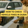 How to Check Vehicle Fines in Dubai
