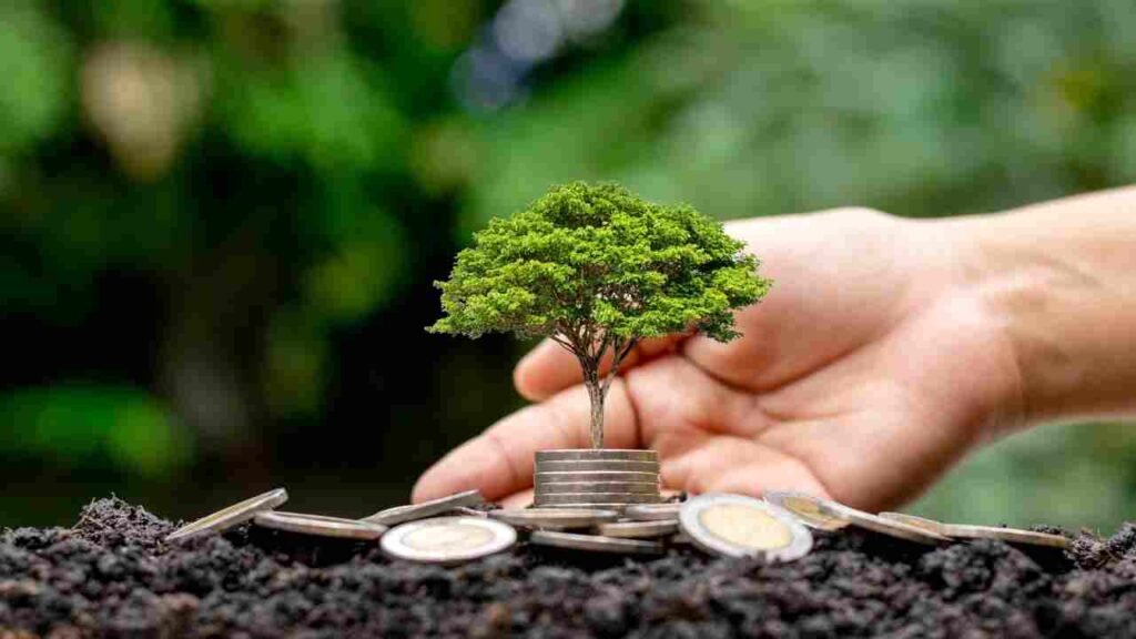 How to Make Money Online in Dubai Without Investment