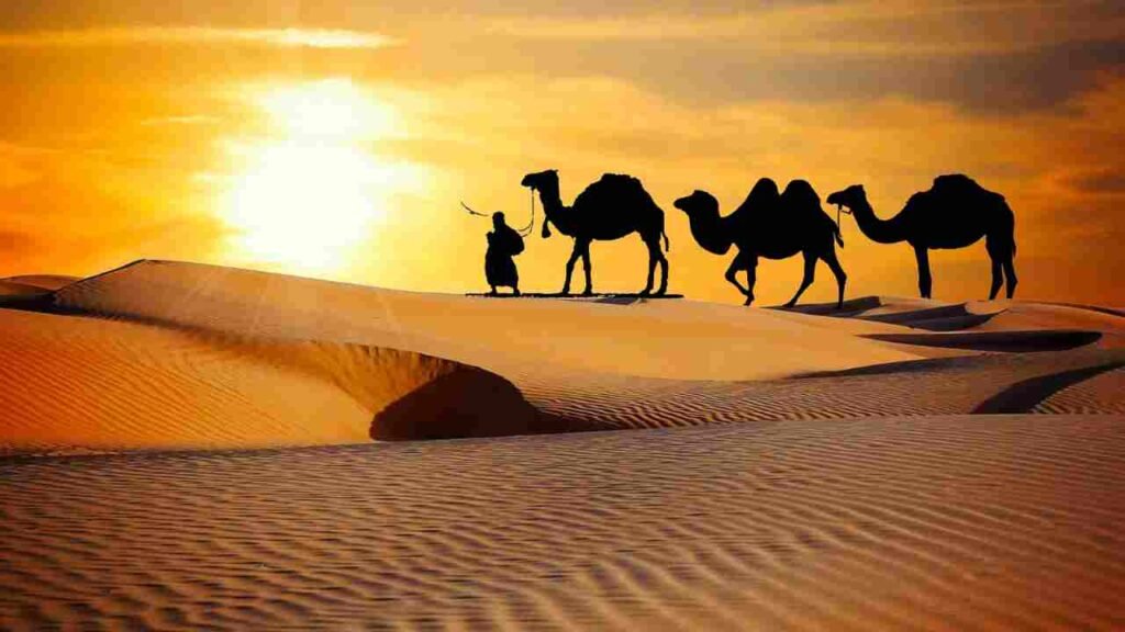 Where Is Desert Safari in Dubai