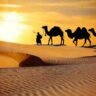 Where Is Desert Safari in Dubai